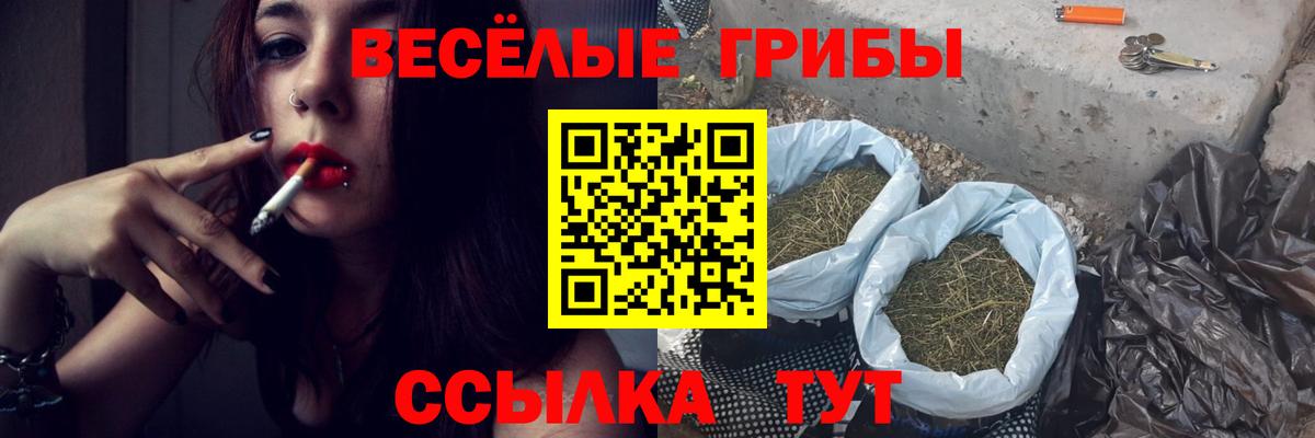 Псилоцибиновые грибы ЛСД Нижний Новгород