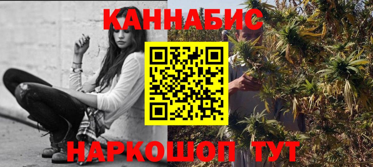 Бошки марихуана планчик Нижний Новгород